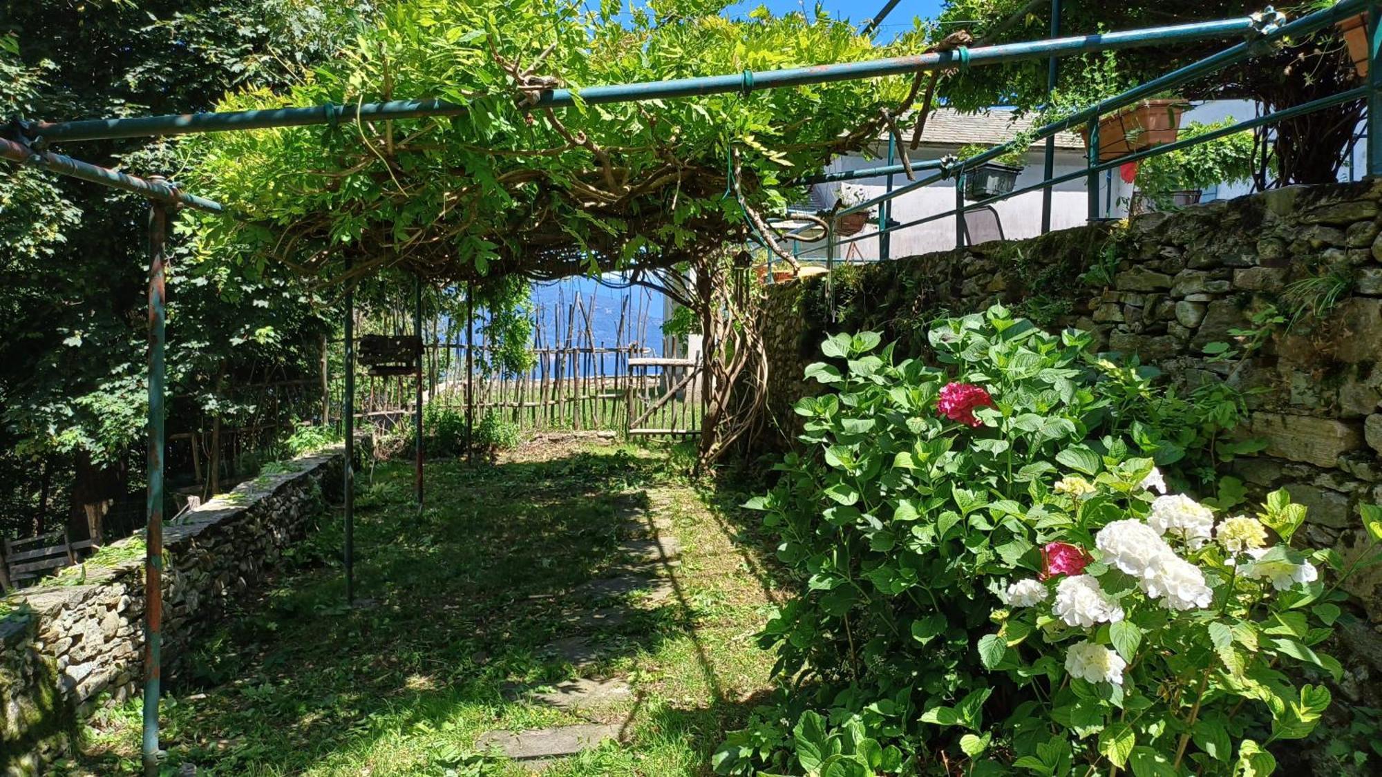 La Stanza Del Bosco Apartment Arcumeggia Exterior photo